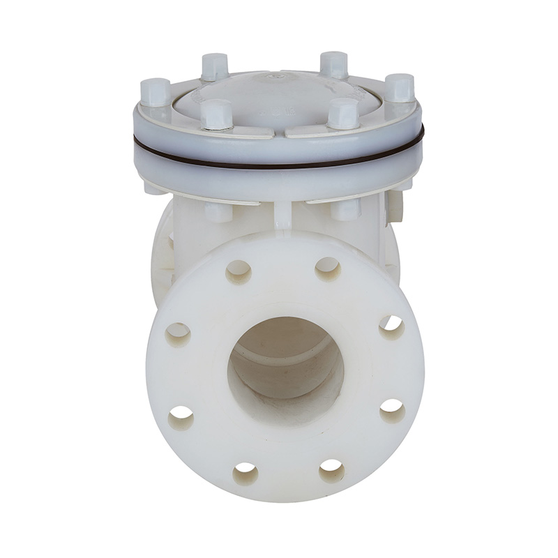PVDF H44F-10F Svingtype Tilbakeslagsventil DN15-300 GB Standard