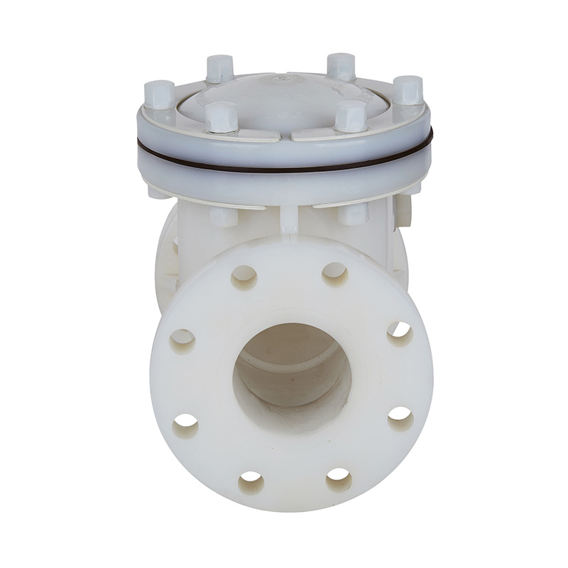 PVDF H44F-10F Svingtype tilbakeslagsventil DN15-300 1/2'-12' ANSI Standard