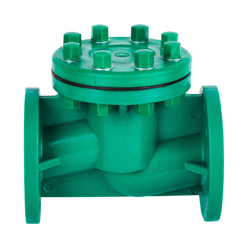 FRPP H41F-10S Livstype Tilbakeslagsventil DN40-80 GB Standard