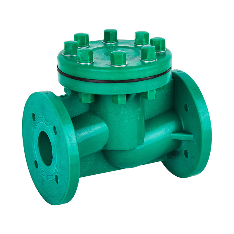 FRPP H41F-10S Livstype Tilbakeslagsventil DN40-80 GB Standard