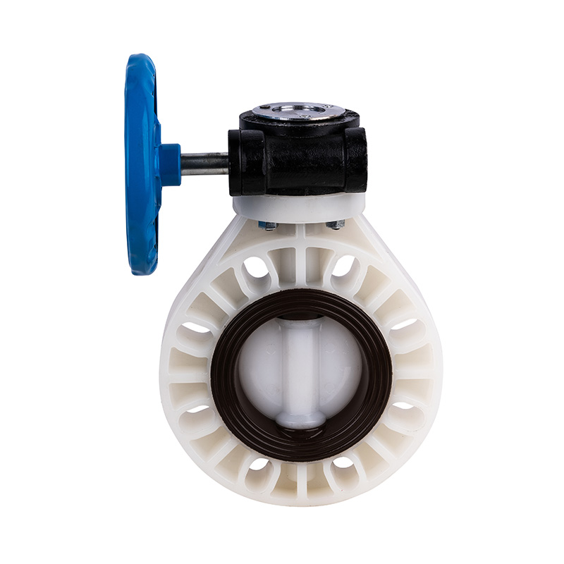 PVDF D371X-10F Worm-Gear Butterfly Ventil DN40-1000 40A-1000A JIS Standard